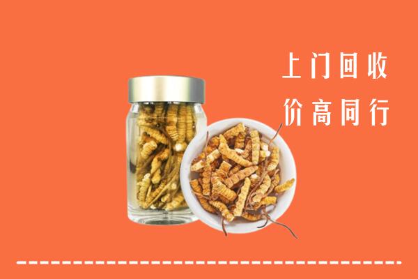 湛江市遂溪回收冬虫夏草